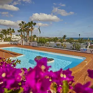 Palmeras Puerto del Carmen (Lanzarote)